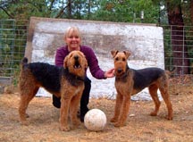 Shasta (left) - Buddy (right)